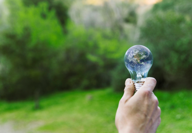 숲에서 전구 들고 있는 이미지